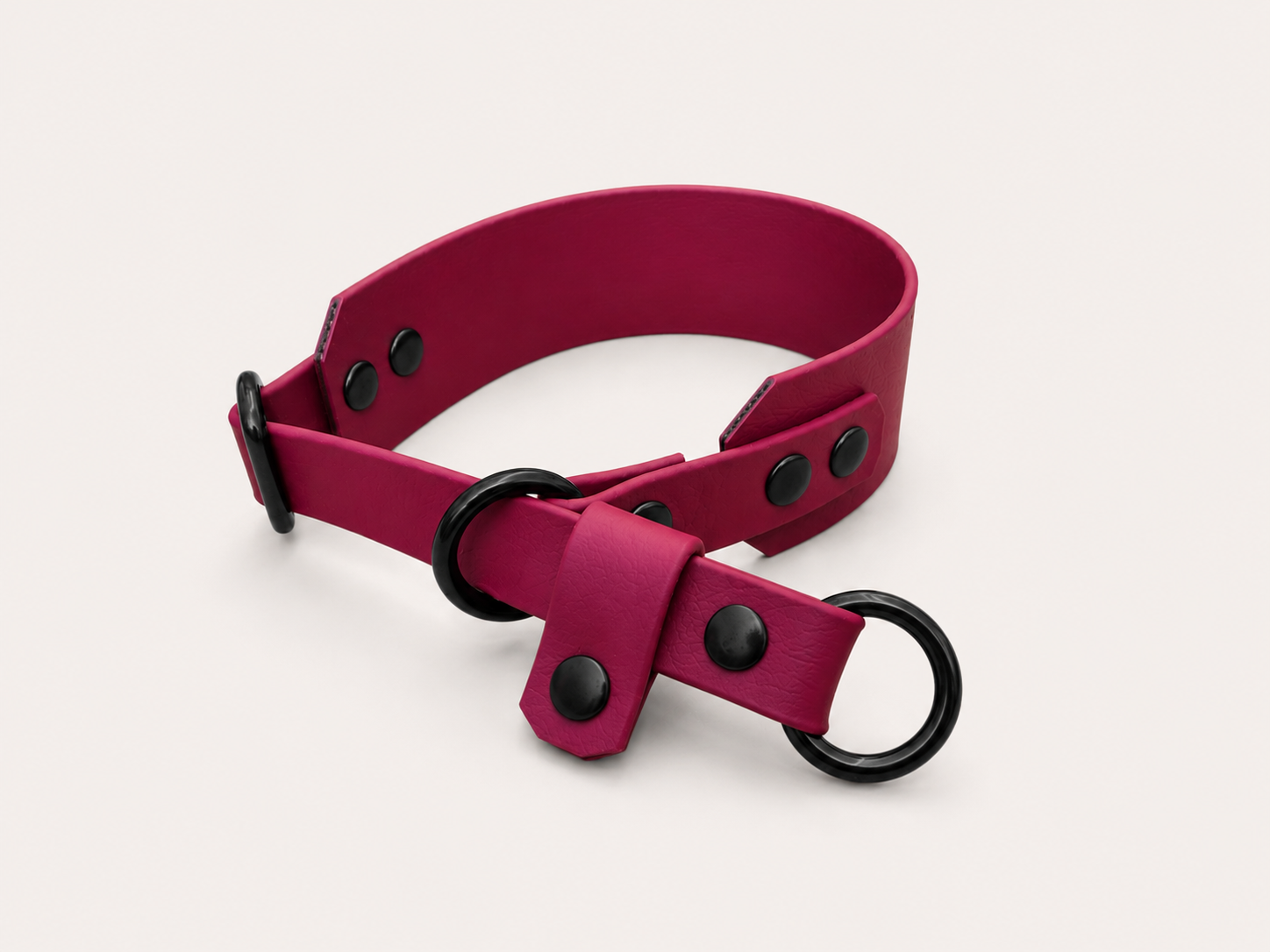 Martingale Dog Collar | punq