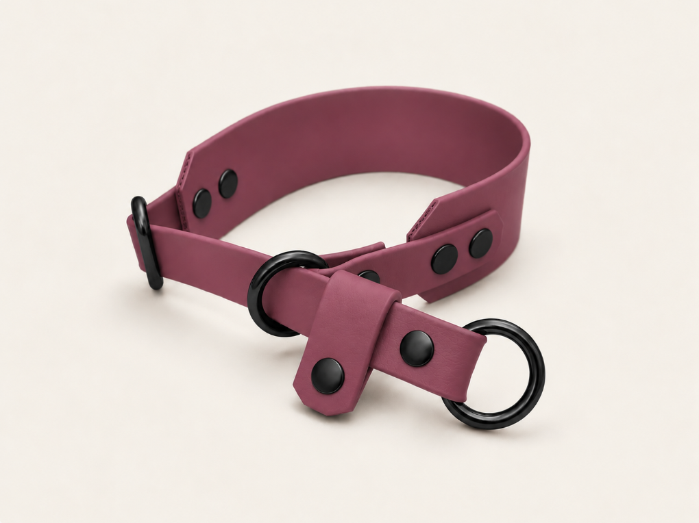 Martingale Biothane Hondenhalsband | punq
