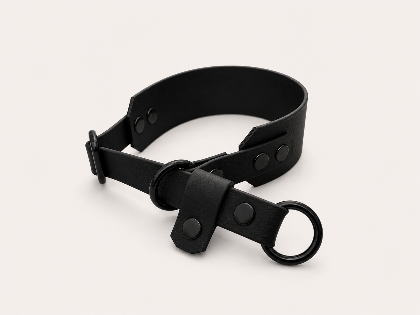 Martingale Dog Collar | punq