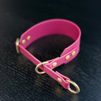 Martingale Dog Collar | punq