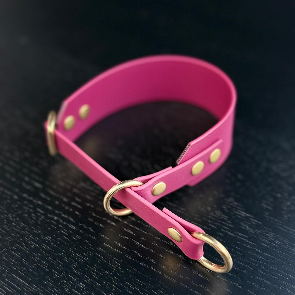 Martingale Dog Collar | punq