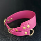 Martingale Dog Collar | punq