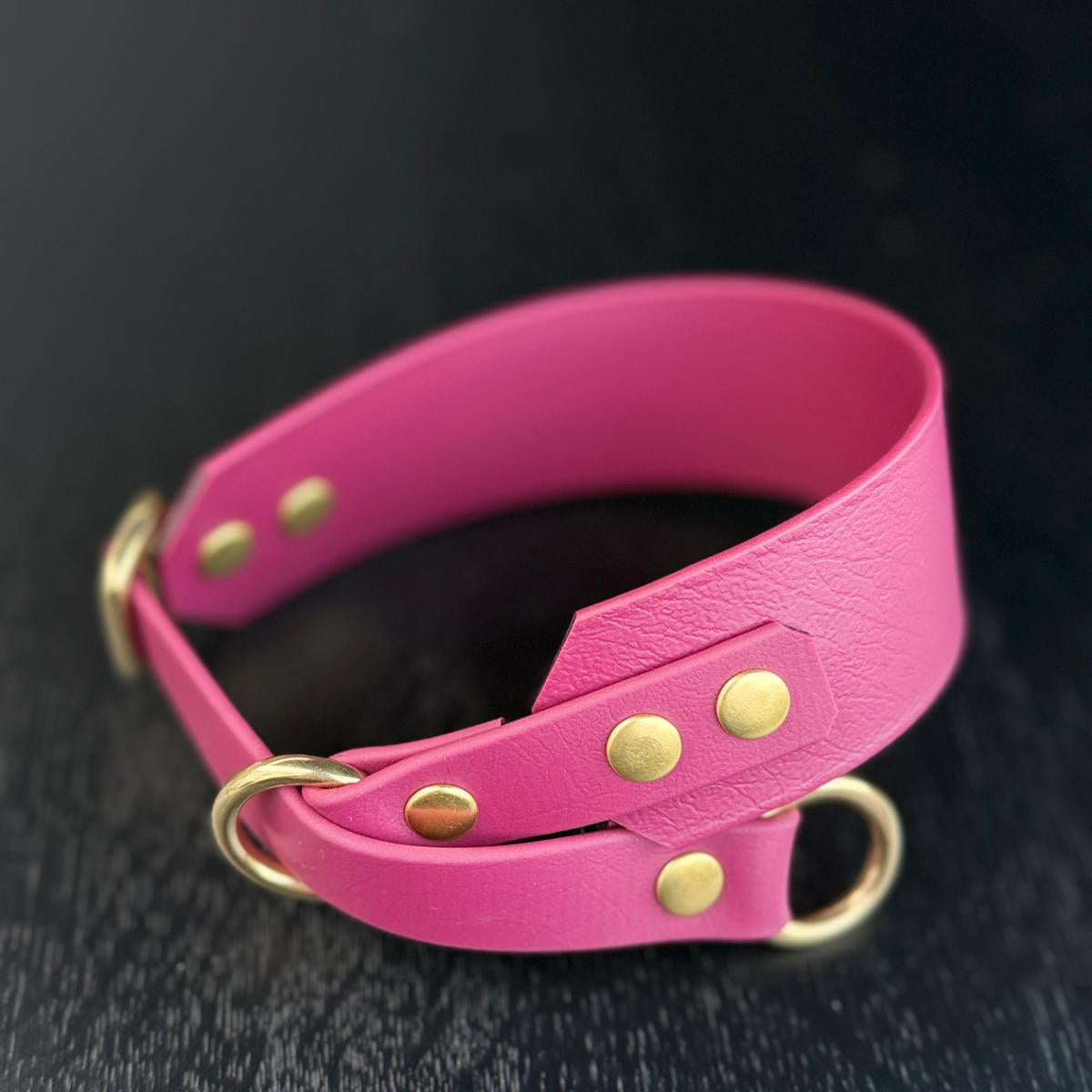 Martingale Dog Collar | punq