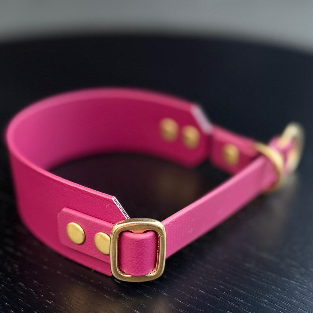 Martingale Dog Collar | punq