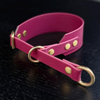 Martingale Dog Collar | punq