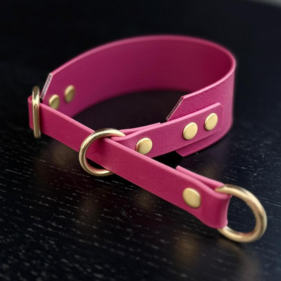 Martingale Dog Collar | punq