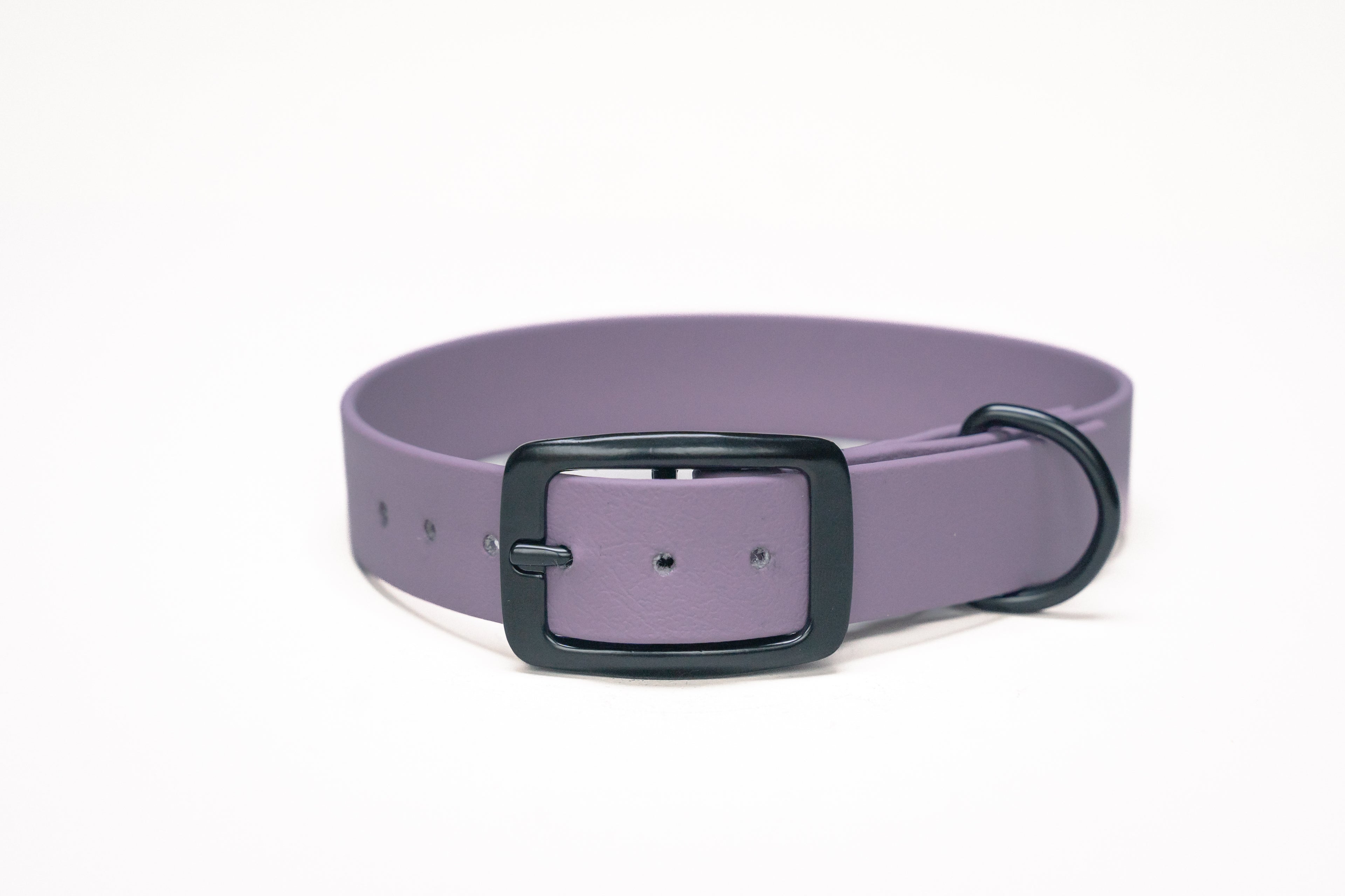 Voordeelbundel | Hondenhalsband en Standaard Hondenriem