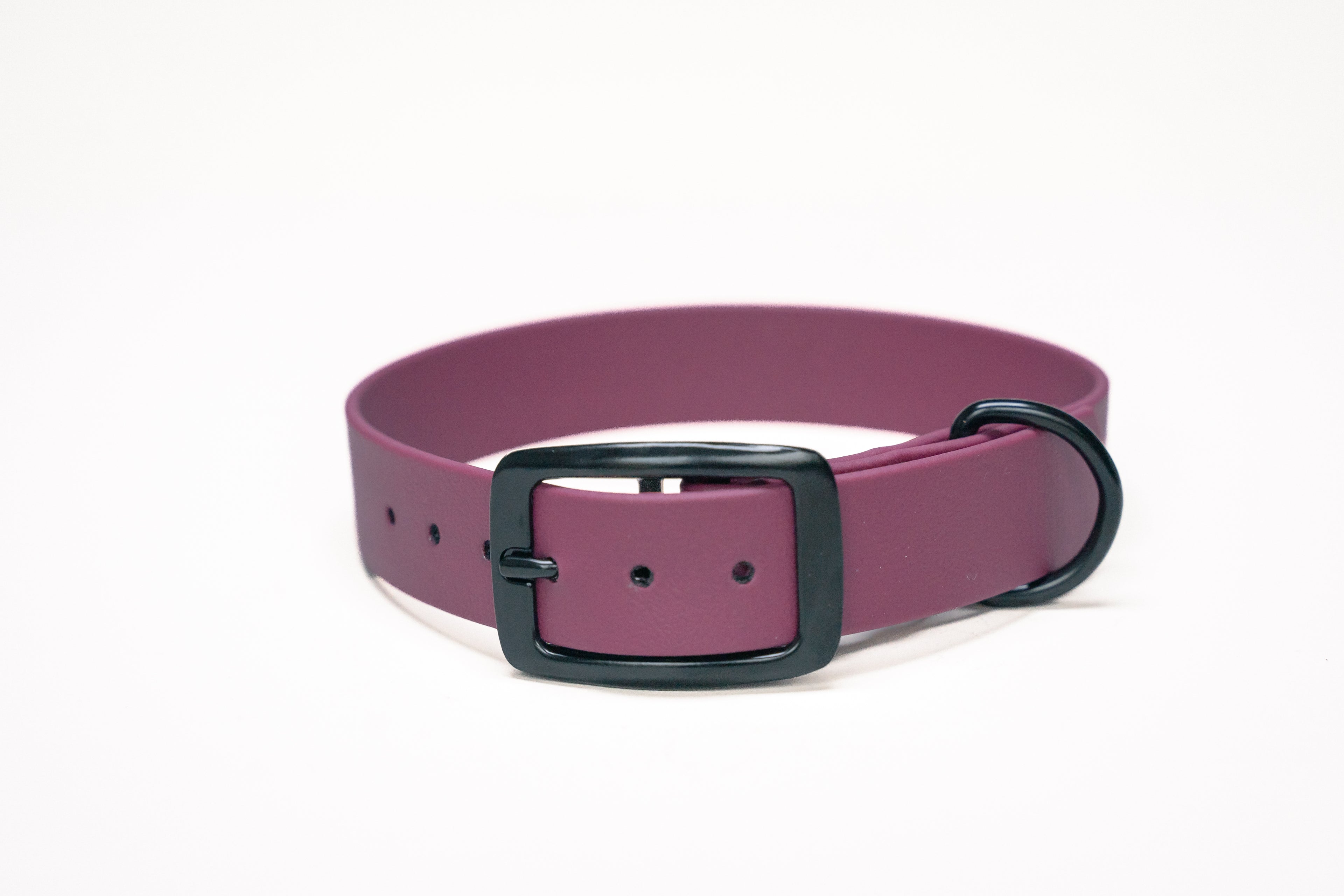 Voordeelbundel | Hondenhalsband en Standaard Hondenriem