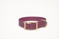 Bundle | Dog Collar and Standard Dog Leash | punq
