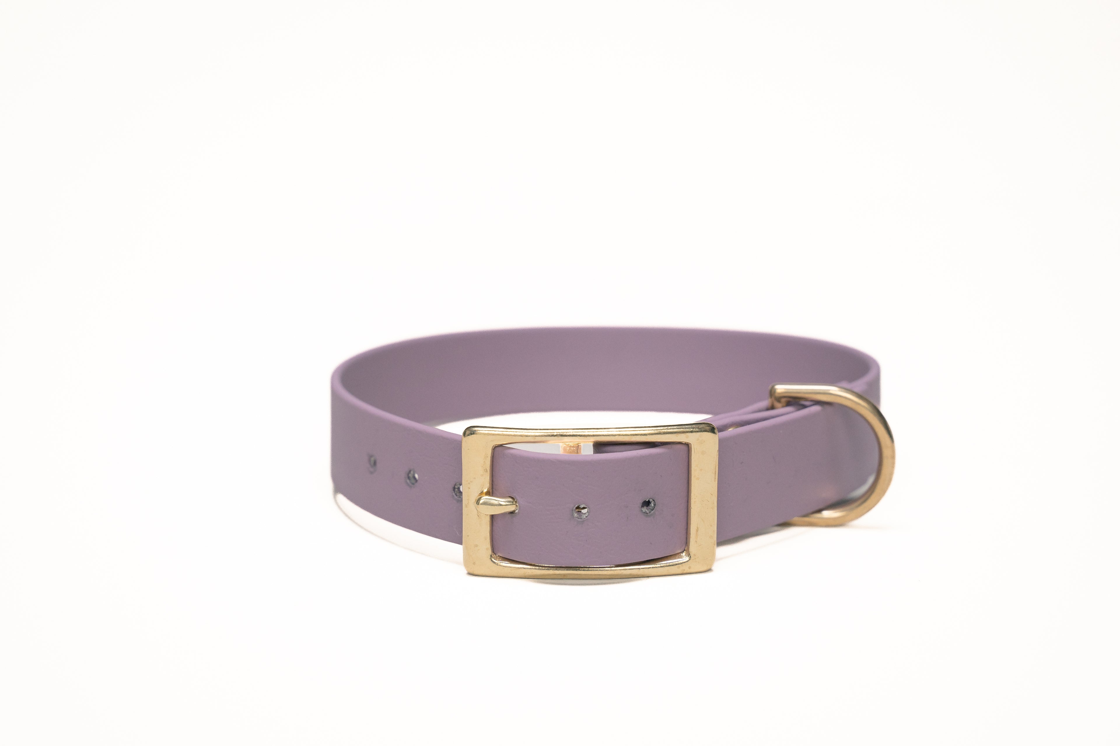 Punq Hondenhalsband | Biothane