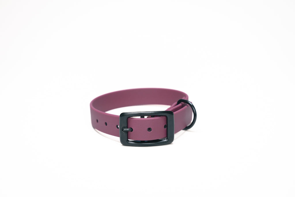 Biothane Hondenhalsband | punq
