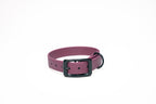 Bundle | Dog Collar and Hands-free Leash | punq