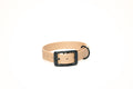 Biothane Hondenhalsband | punq