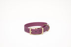 Bundle | Dog Collar and Hands-free Leash | punq