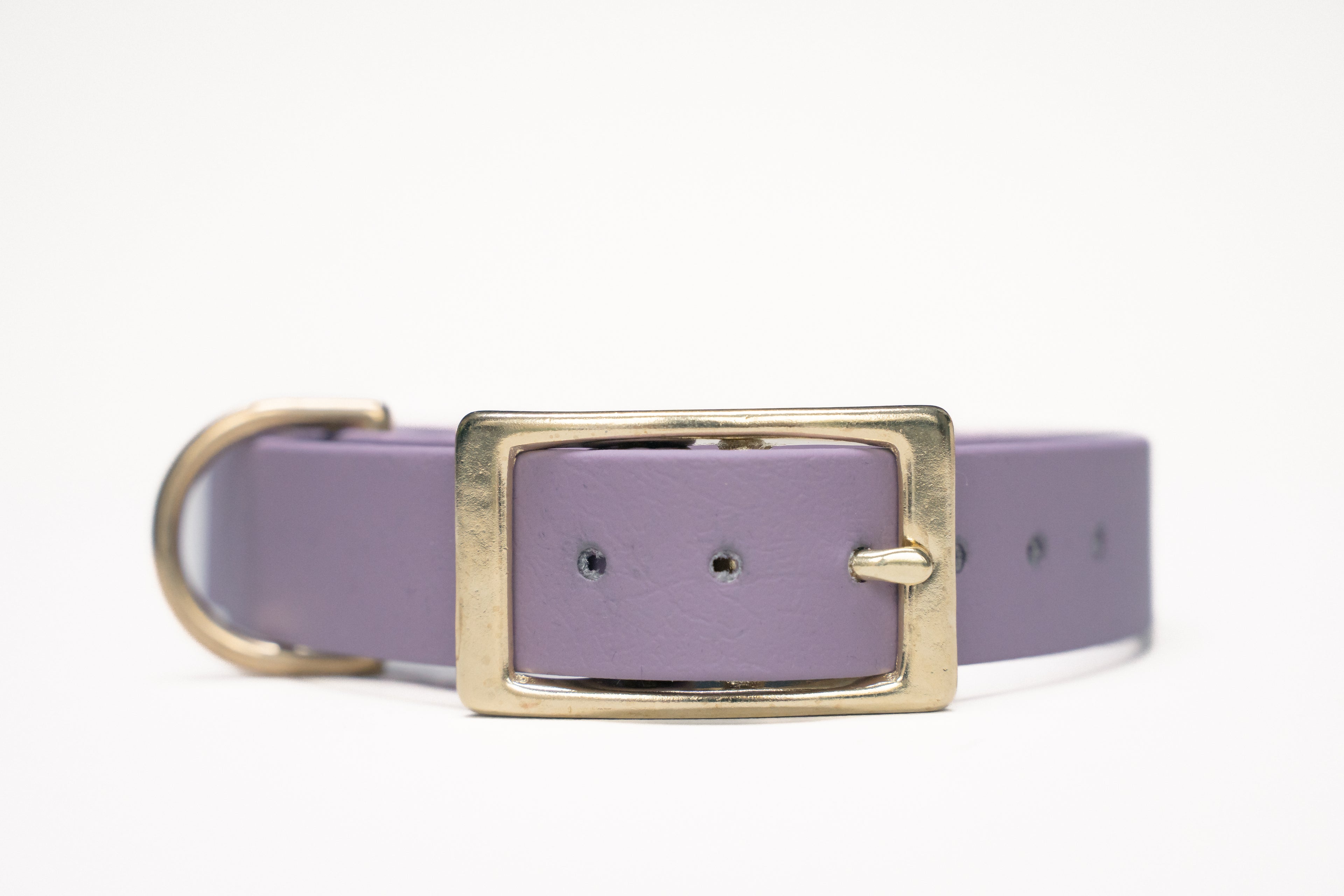 Punq Hondenhalsband | Biothane