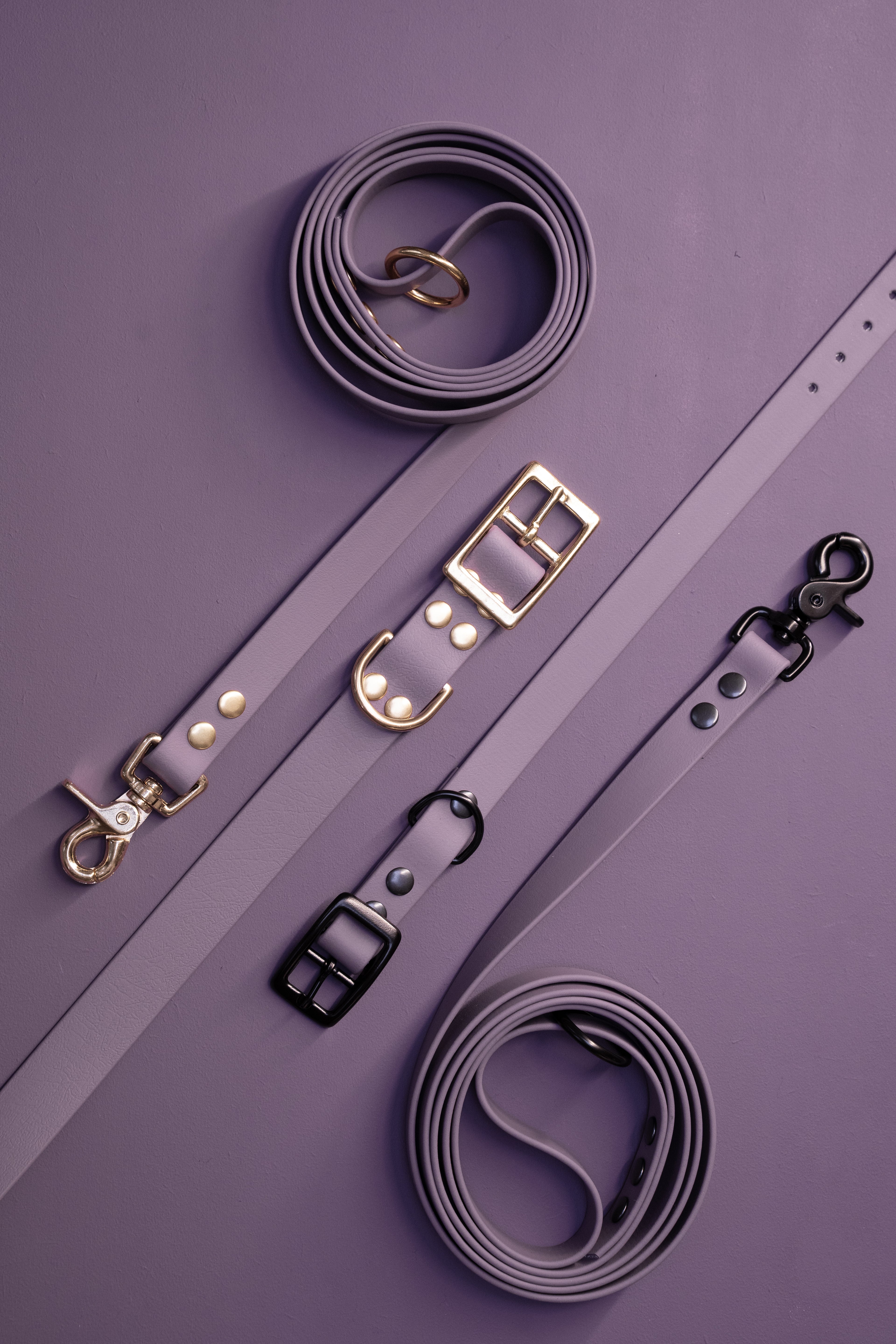 Voordeelbundel Compleet | Hondenhalsband, Standaard Hondenriem én Handsfree Hondenriem