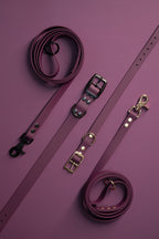 Bundle | Dog Collar and Standard Dog Leash | punq