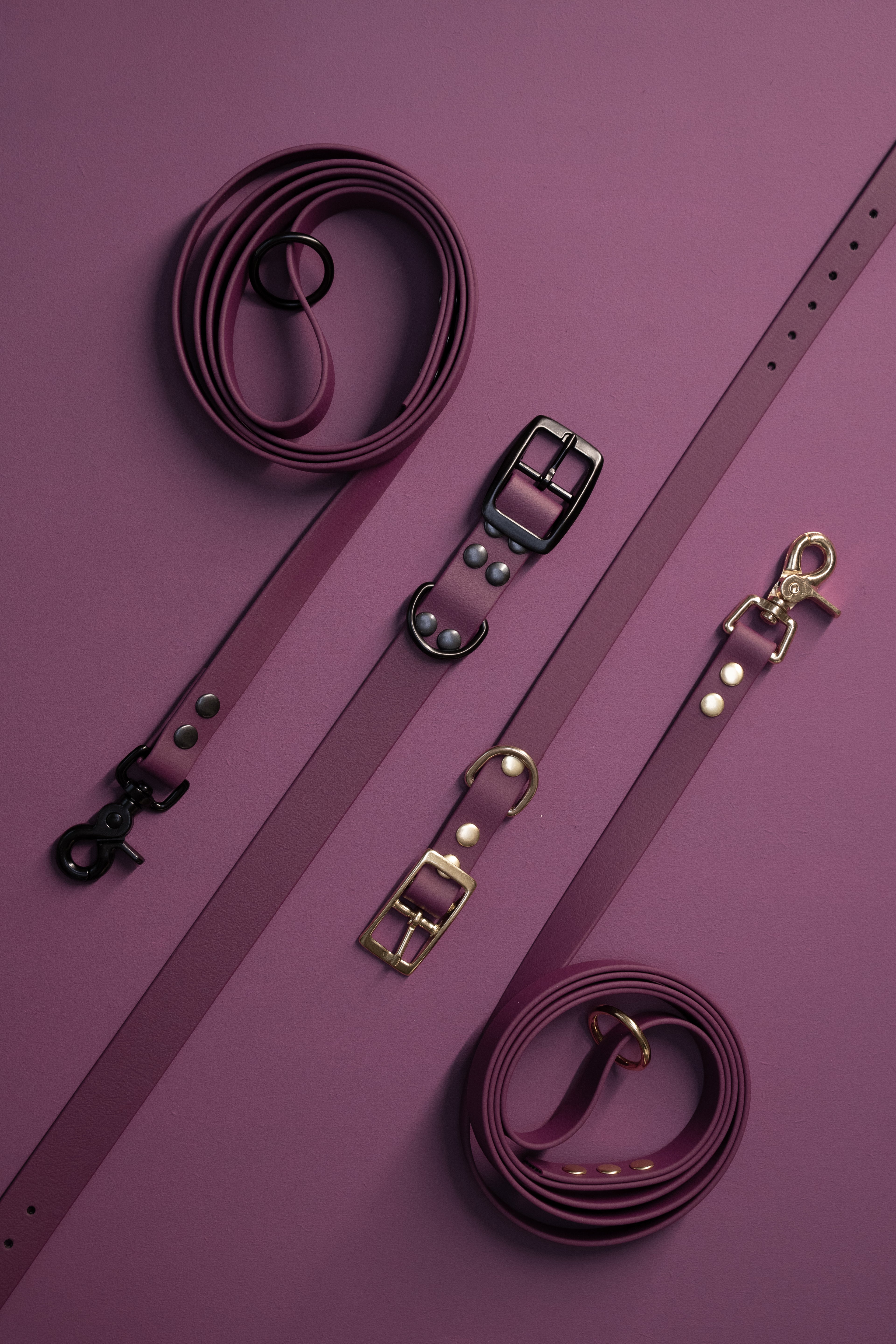 Voordeelbundel | Hondenhalsband en Standaard Hondenriem