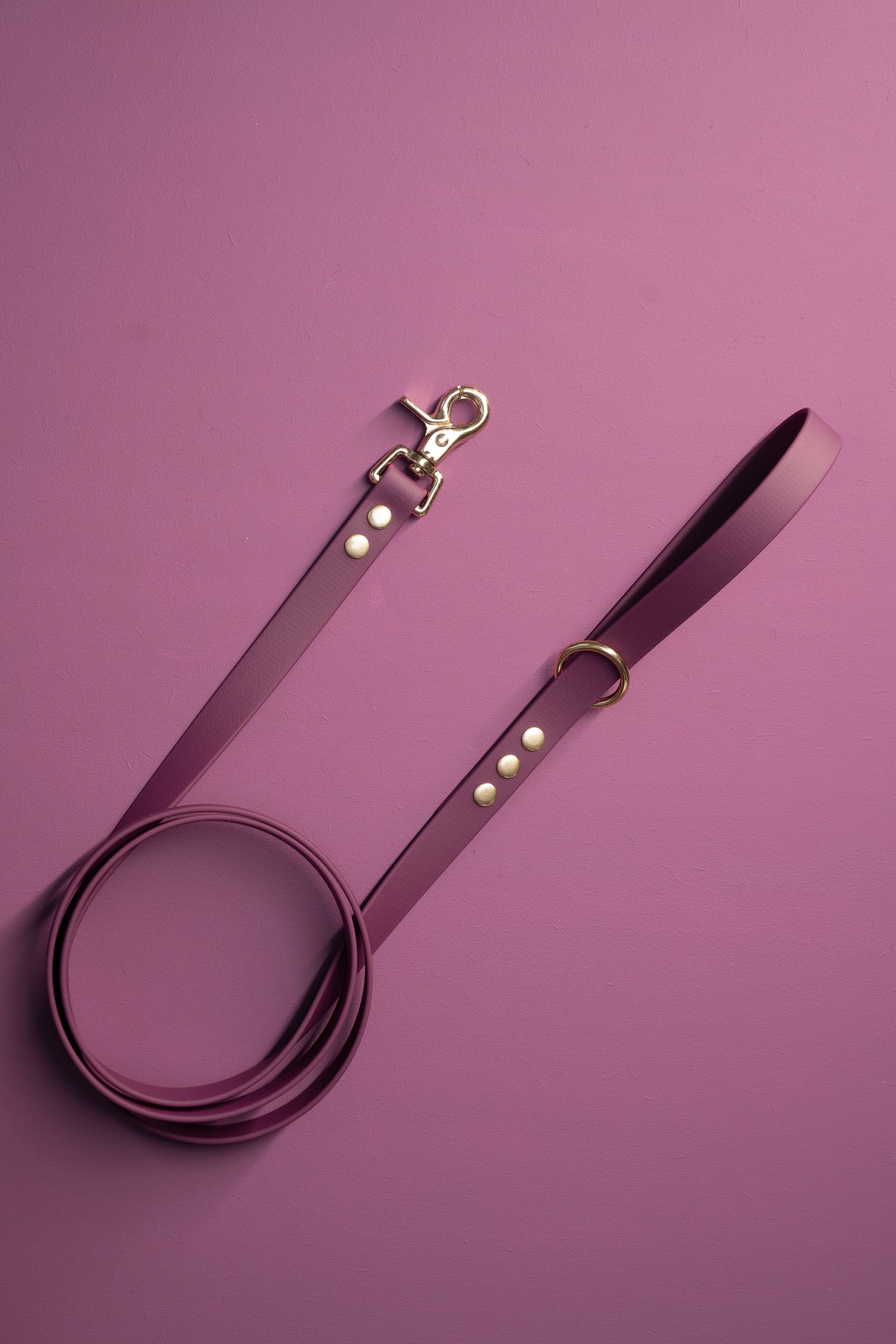 Voordeelbundel Compleet | Hondenhalsband, Standaard Hondenriem én Handsfree Hondenriem