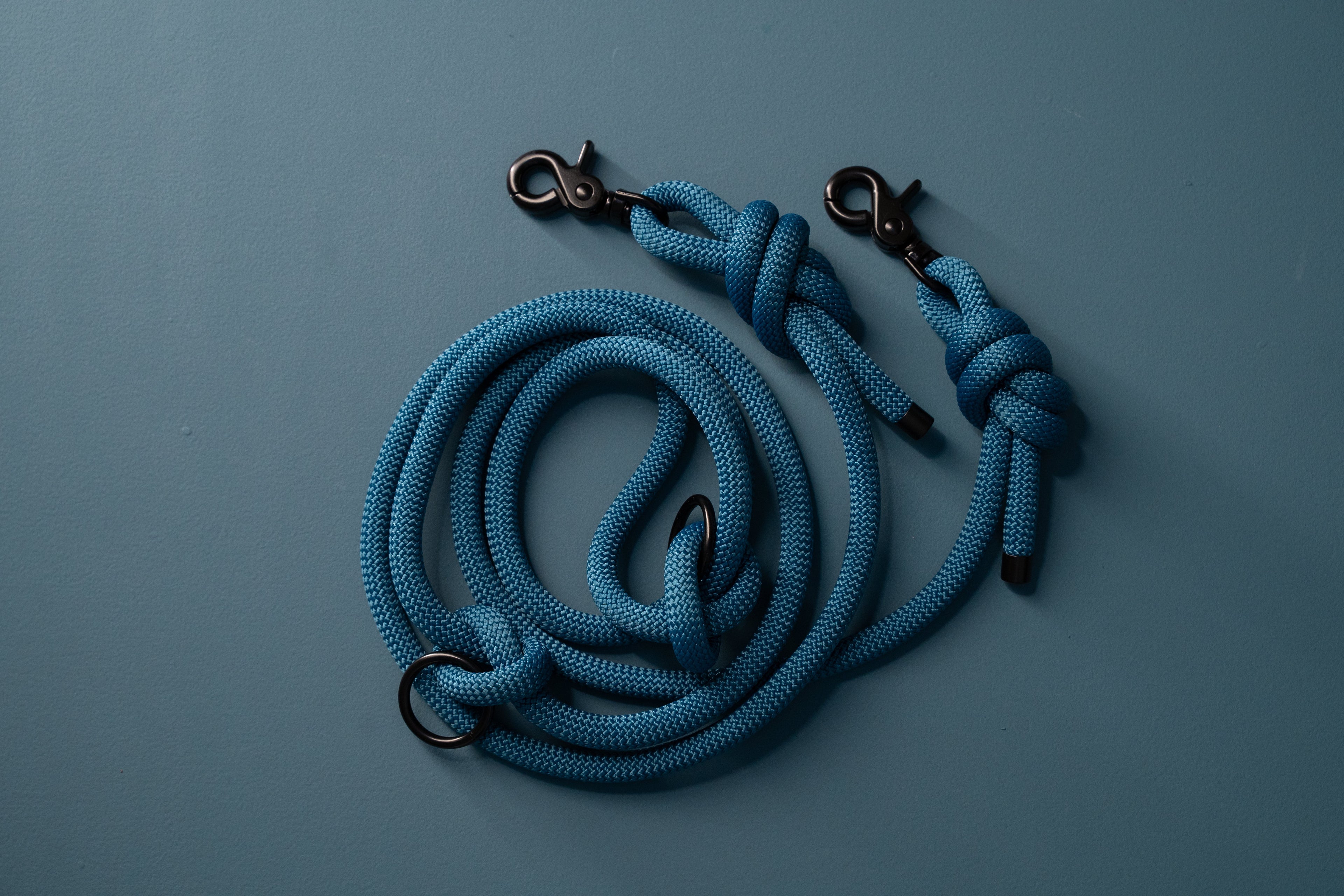 Punq Handsfree Hondenriem | Paracord