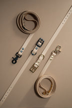 Bundle | Dog Collar and Standard Dog Leash | punq